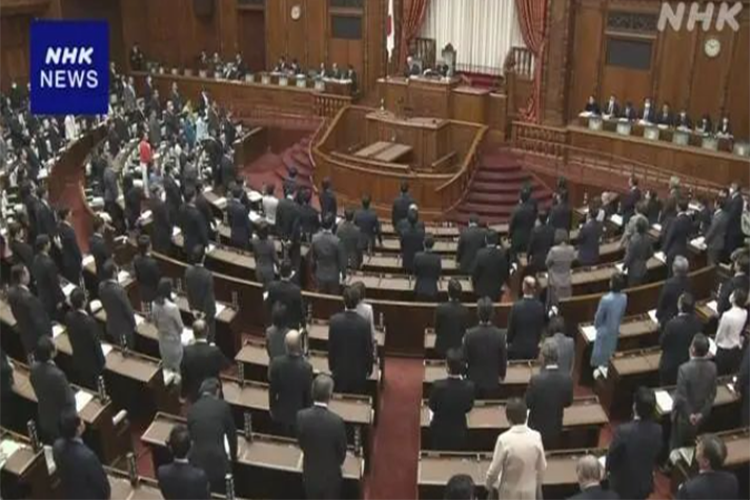 重磅！日本12月6日通过《大麻取缔法》修正案，医用大麻被允许用于治疗