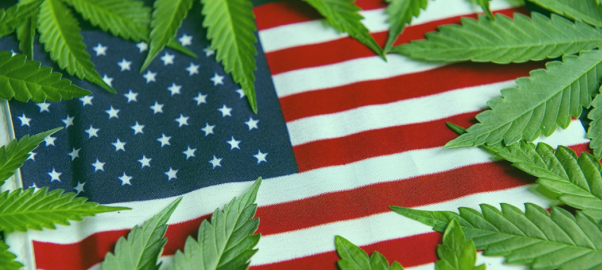 重磅！联邦政府大麻重新分类文件解密，诸多细节公布于众