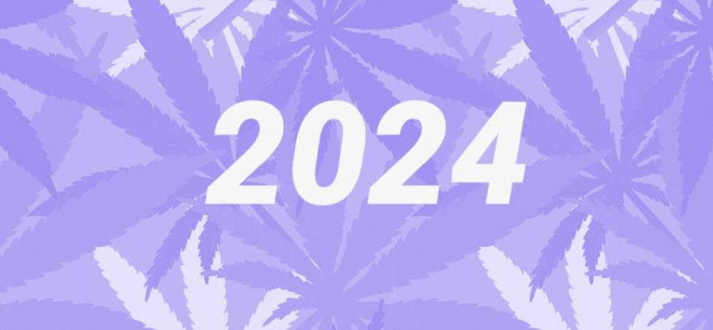 2024年大麻行业专家预测: 联邦改革、国际政策和行业金融