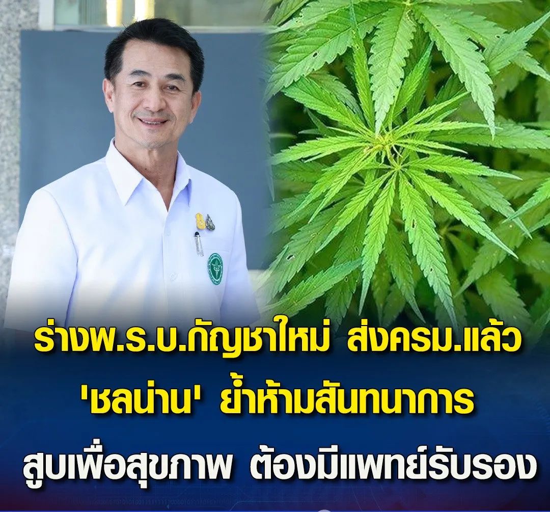 泰国卫生部公布新草案：强调大麻仅限医疗用途，禁止娱乐用途！医疗健康方面的正向作用被放大！