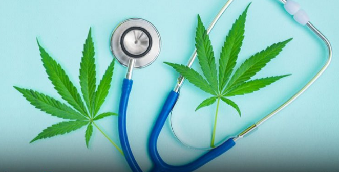 乌克兰总统签署医用大麻合法化法案，用于治疗癌症和创伤后应激障碍（PTSD）等疾病