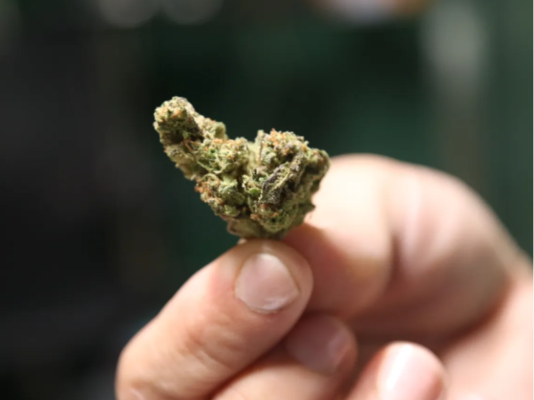 新墨西哥州2月大麻总销售额达到10亿美元