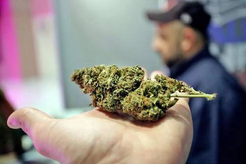 2024年美国皮肤病学会年会：0.13%的大麻二酚CBD痤疮乳膏可安全有效治疗痤疮