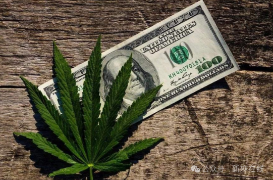 Canopy Growth加快布局美国市场，收购美国大麻运营商Acreage