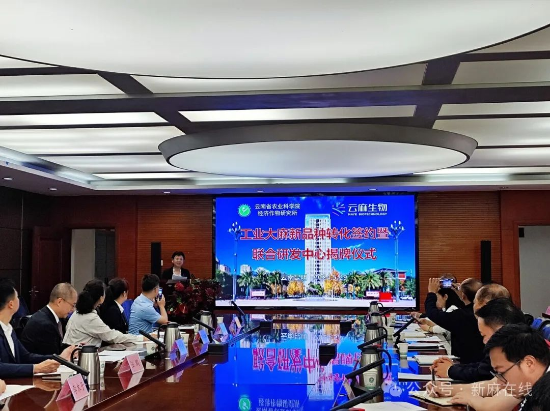 “工业大麻联合研发中心”在昆揭牌！科企合作加快推进云南工业大麻产业发展