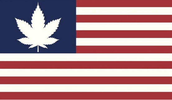 拜登政府正式宣布历史性的大麻重新分类公告，称赞转长期不平等的“重大”举措