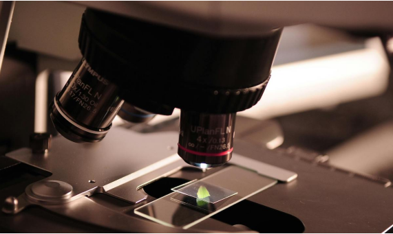 英国大麻素研究与开发小组宣布成立！抢占全球医用大麻领导者地位