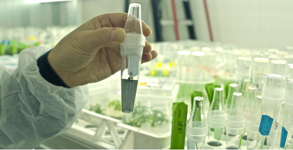 英国医用大麻患者证实：THC和CBD可显著改善多发性硬化症和骨关节炎病人的生活质量