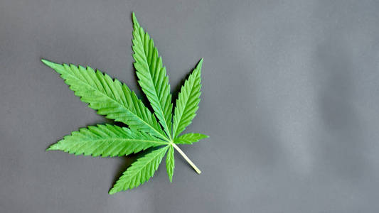 欧洲大麻报告（第九版）抢先看：英国引领欧洲医用大麻市场增长，CBD市场规模为19.7亿欧元