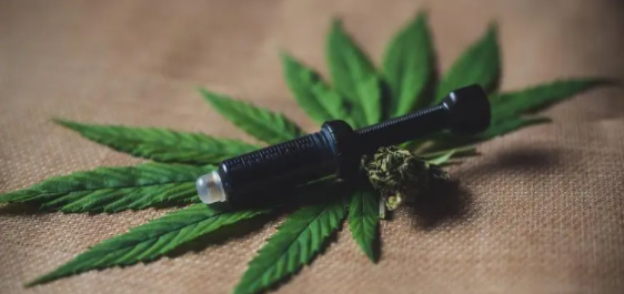 《疼痛》杂志：大麻萜烯有助于缓解化疗引起的神经性疼痛，且无任何副作用