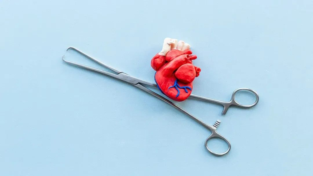 研究表明，医用大麻或可作为术后镇痛辅助药物，改善心脏搭桥手术预后，保护心功能