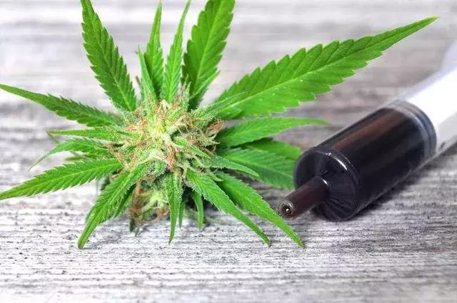 英国生命科学公司宣布：CBD药物有望治疗心脏纤维化和心力衰竭