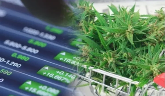 美国拟“松绑”大麻，吸引欧洲大麻公司赴美上市