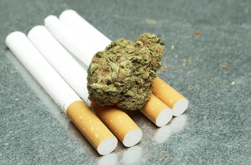 FDA表示，汉麻可用作烟草添加剂，这个赛道至今无人问津，但大麻不行