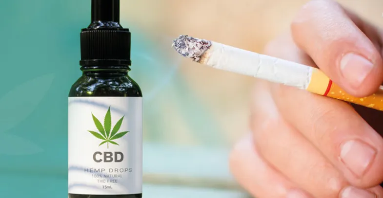 CBD与烟草：在大麻重新分类的挑战中融合