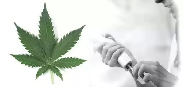 英国将开展全球规模最大的大麻素药物临床试验