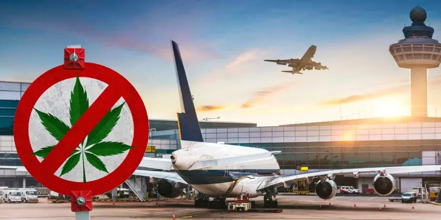 震惊！加拿大罕见疾病患者因携带医用大麻被判终身监禁