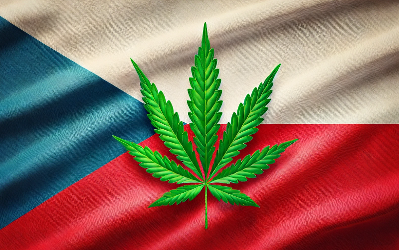 捷克：明年4月起，全科医生将可开具医用大麻处方