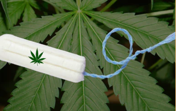 CBD卫生棉公司涉嫌错误标签和产品掺假被FDA警告