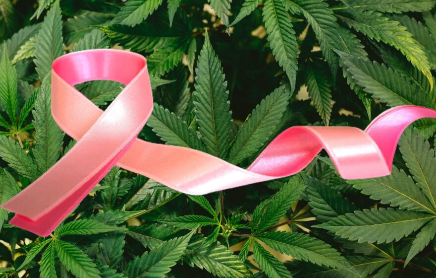 CBD可降低乳腺癌患者的“整体焦虑水平”