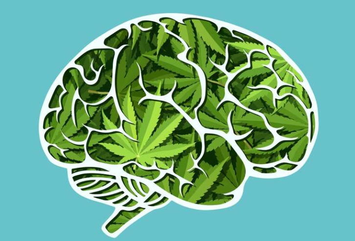 大麻素药物研究不断出新，又一项治疗自闭症谱系障碍临床试验启动 