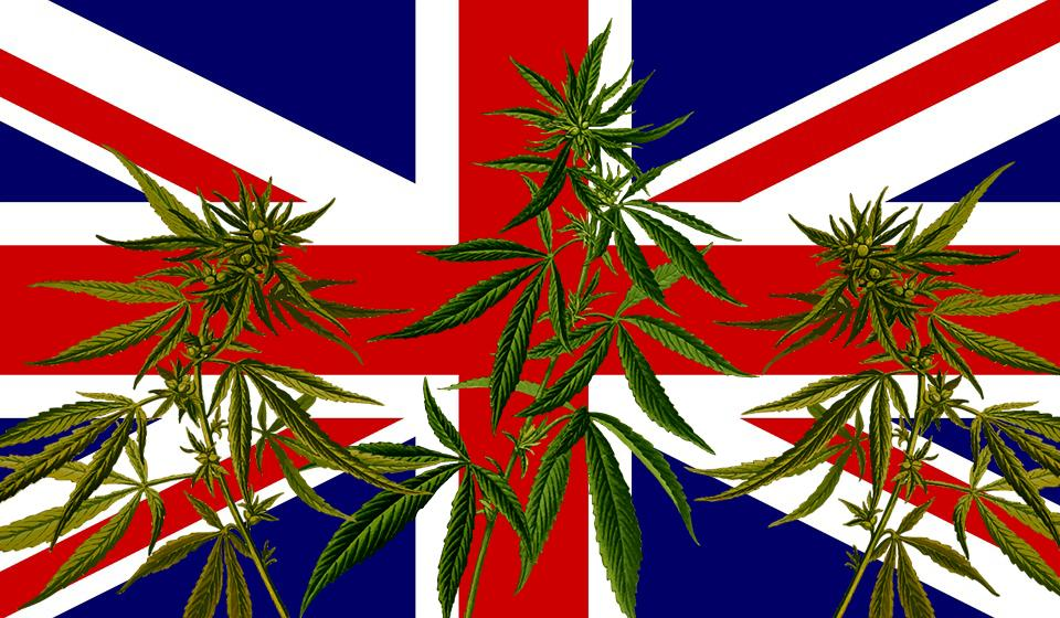 英国大麻合法化模式探究：每年可贡献15亿英镑收入