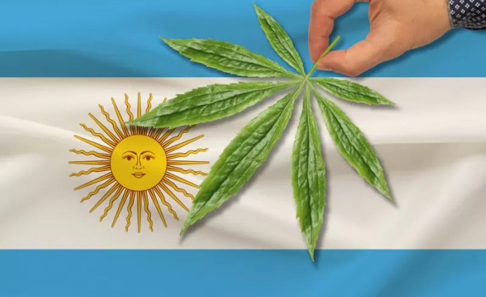 从顶级红酒到大麻：阿根廷大力推动大麻旅游、科研和政策支持 
