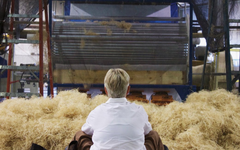 最新《北美汉麻纤维加工报告》发布，汉麻纤维行业保持乐观