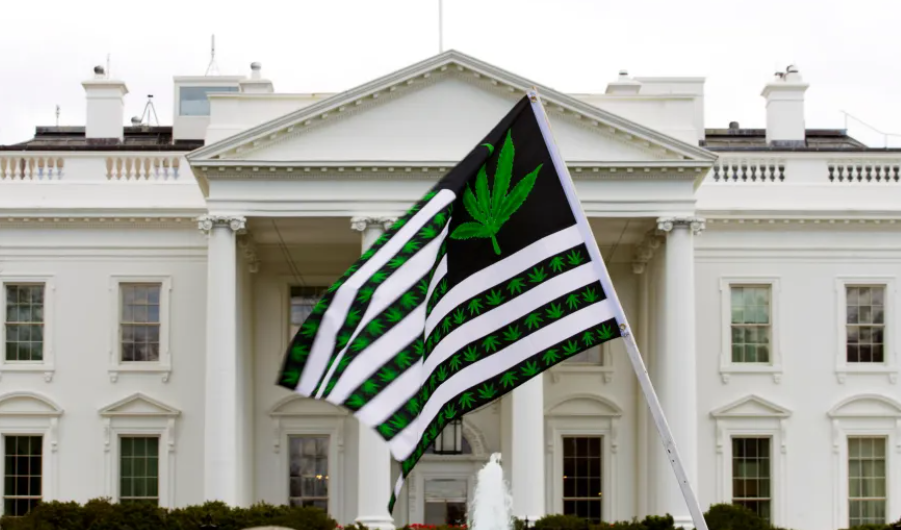 前拜登政府禁毒主管爆料，美国缉毒局内部有人阻止大麻重新分类程序    