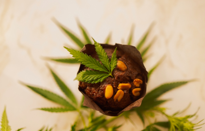 西班牙禁止含有半合成大麻素的食品