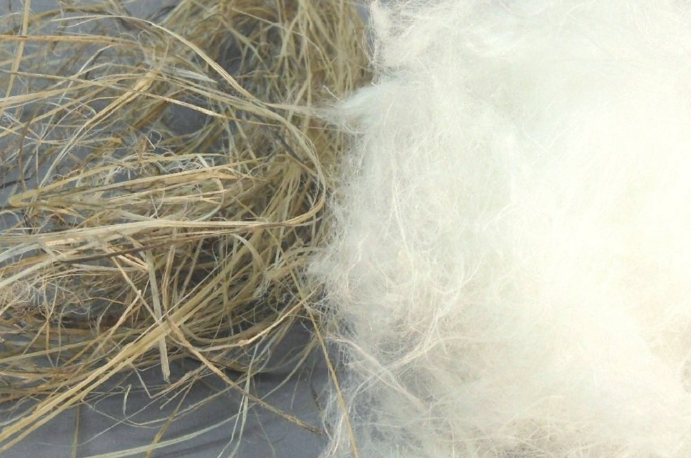 突破性研究发现，棉化汉麻纤维有望重塑天然纺织品市场