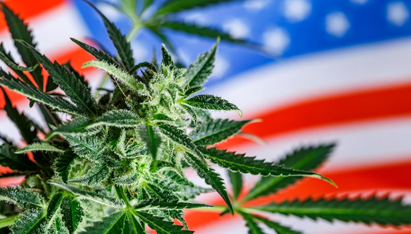 双管齐下！两项联邦大麻改革法案即将出台，有望改变美国大麻监管格局