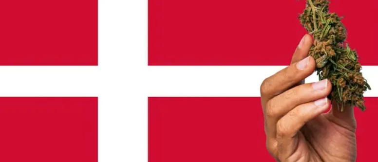 丹麦永久合法化医用大麻后报销制度缺陷依然存在