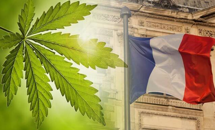 欧洲最大CBD市场遭监管机构打击，行业抱团坚定抵制