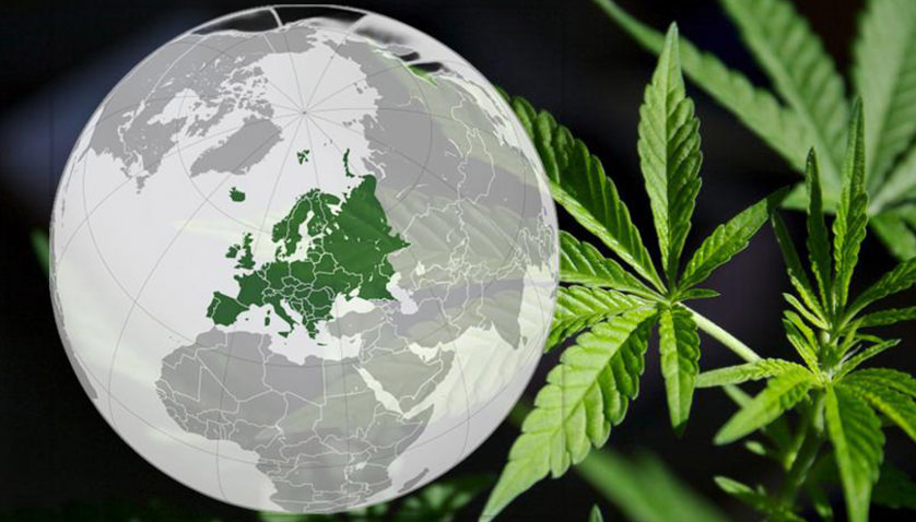 欧洲五国完成改革，医用大麻将大幅扩张
