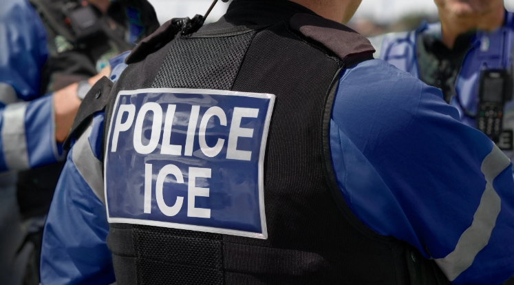 突发！ICE突袭加州合法大麻农场，致一人死亡，数百人被捕