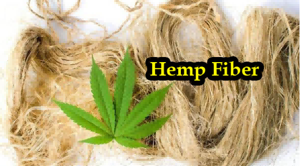 生物沤麻新工艺获突破，有望规模化高档汉麻纤维生产