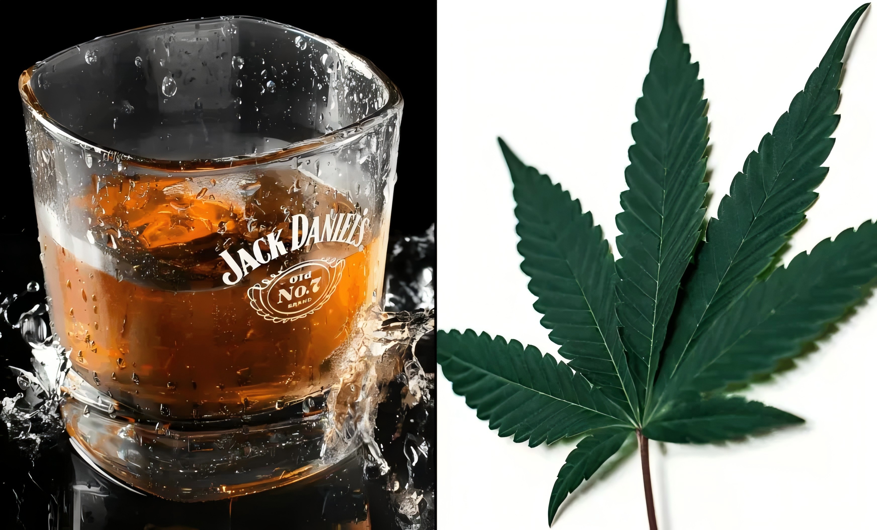 杰克丹尼威士忌老板抱怨，大麻合法化抢了酒类行业的饭碗