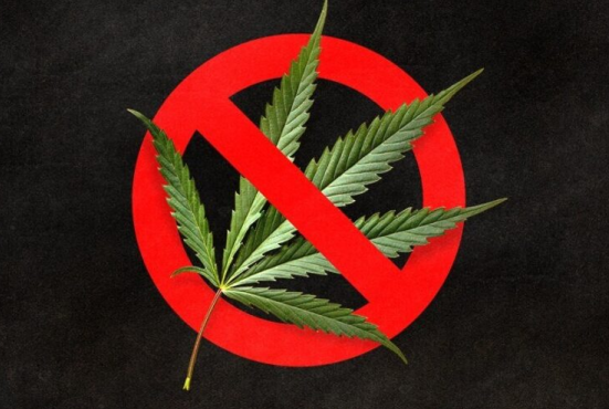 爆料！国会工作人员称，联邦法案将“有效”禁止所有消费性汉麻产品，CBD也不例外