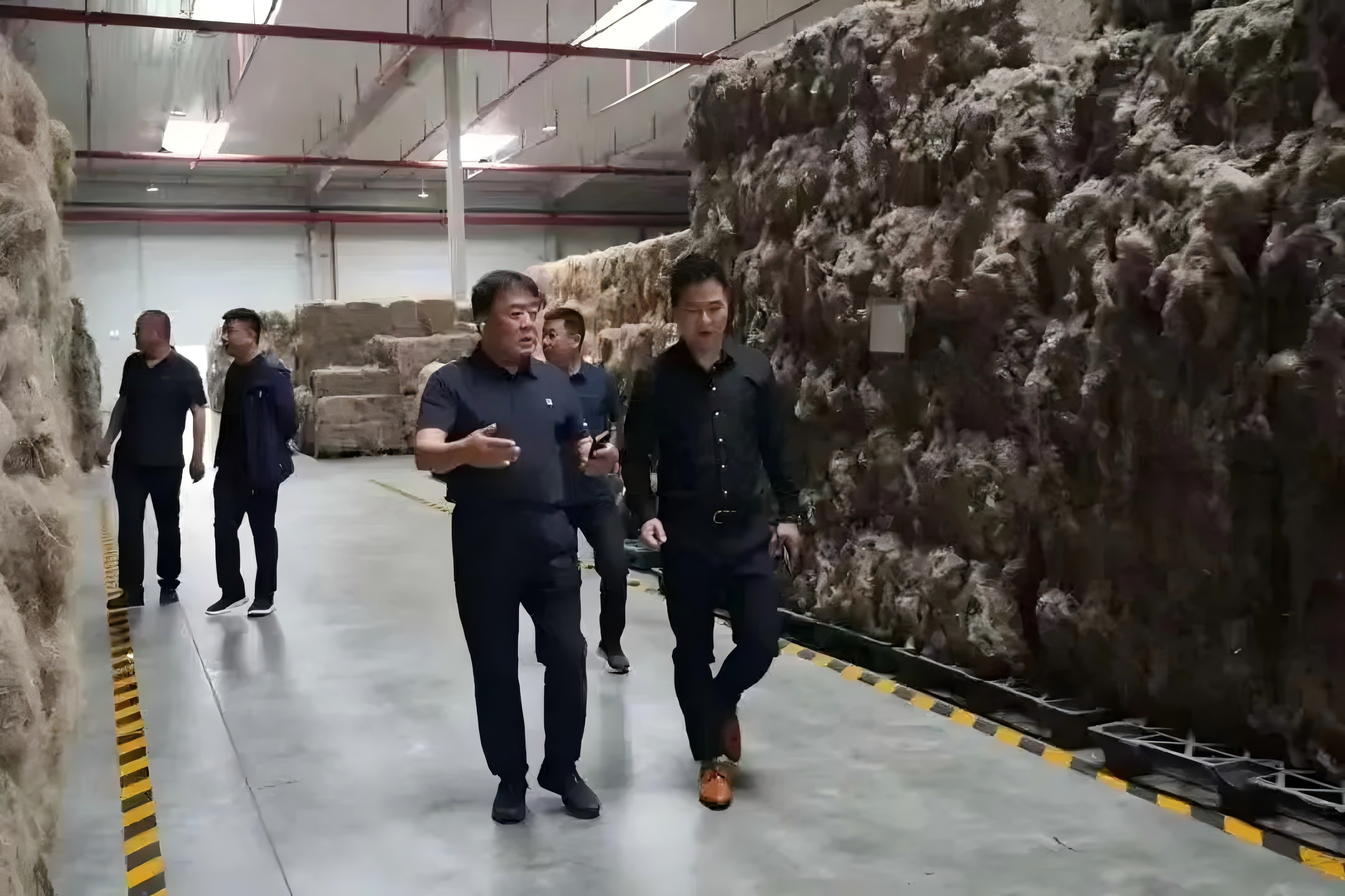 从500亩到1.5万亩 龙江森工“一株麻”闯出兴企富民新赛道