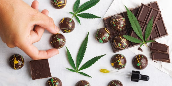 涉及CBD和THC每日可摄入量，英国宣布更新CBD新型食品审批流程