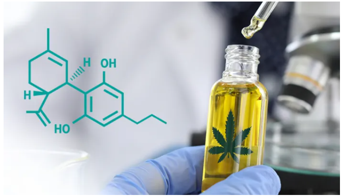 惊喜！这两种大麻素是致命真菌疾病的克星