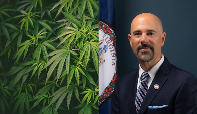 定了！此人将掌控大麻重新分类和美国大麻产业的“命脉”