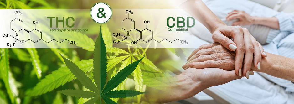 联邦创新临床试验：采用THC和CBD治疗临终痴呆相关躁动症