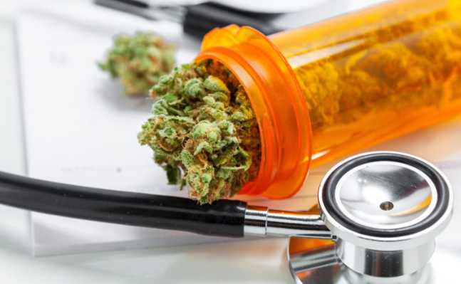 日本官方最大规模研究称，没有证据表明大麻是“入门毒品”