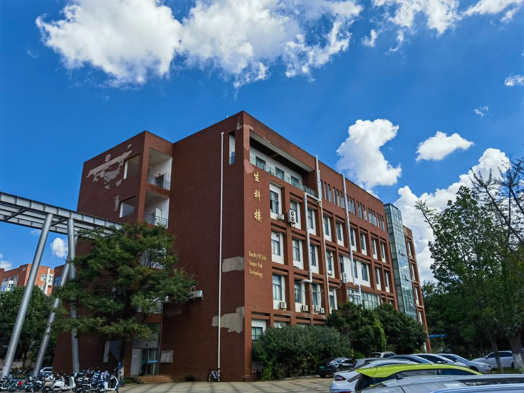 祝贺！昆明理工大学高传柱团队CBD铂类抗肿瘤药物研发获重要进展