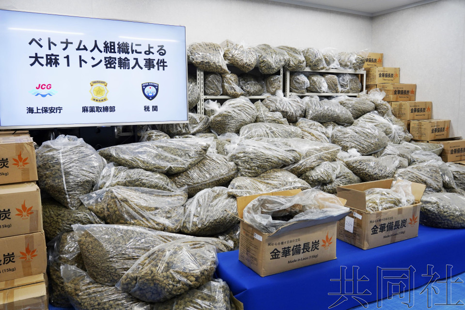 突发！日本破获史上最大宗大麻走私案，数量超1吨创单次新高