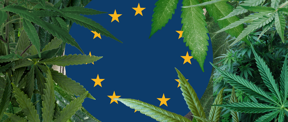 欧盟因“缺乏证据”暂无大麻花草药专论，GACP新规即将出台