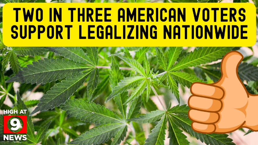 最新民调显示，随着特朗普考虑重新分类大麻，大多数美国人支持全国合法化