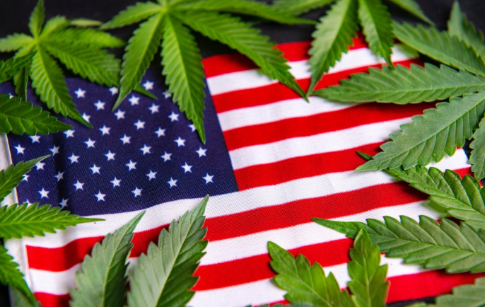 惠特尼经济分析称，美国汉麻市场被联邦政府严重低估，令农民信心受挫